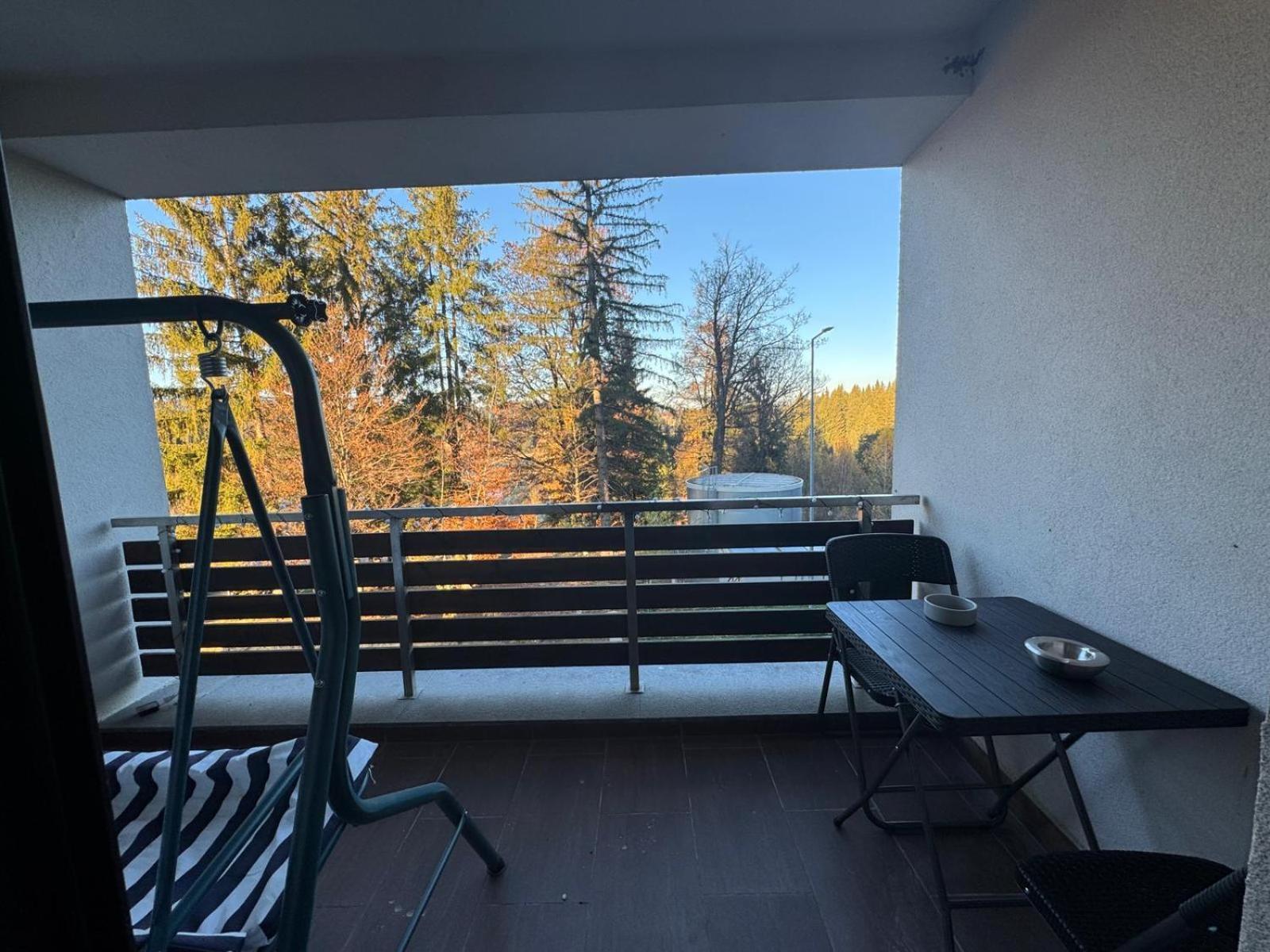 Apartment "Mountain Relax" Пояна-Брашов Экстерьер фото