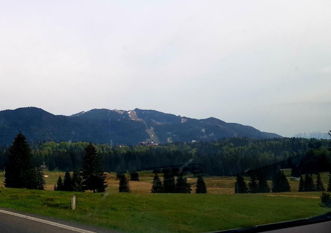 Apartment "Mountain Relax" Пояна-Брашов Экстерьер фото
