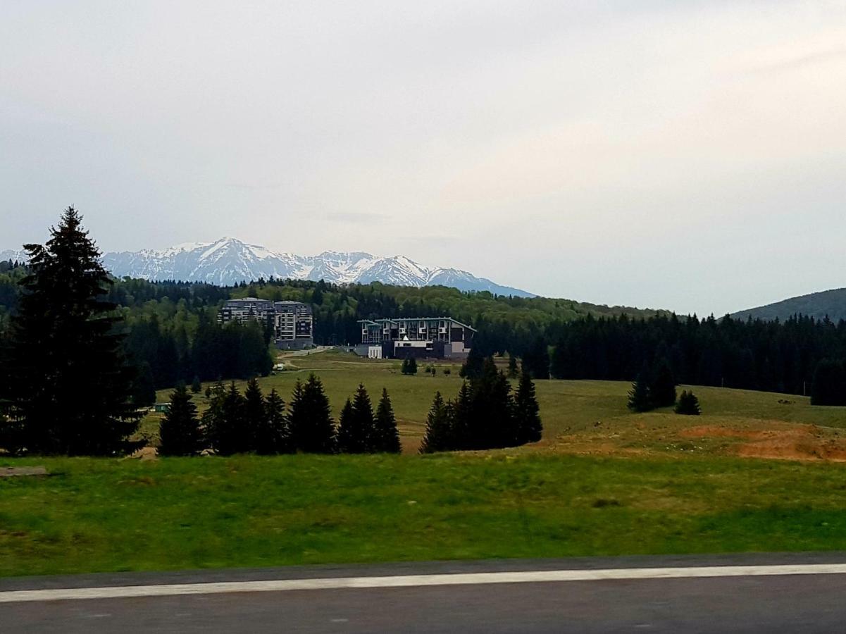 Apartment "Mountain Relax" Пояна-Брашов Экстерьер фото